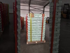 10 mm Estaca de apoio de fibra de vidro